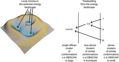 Innovative tree-based method for sampling molecular conformations: exploring the ATP-binding cassette subfamily D member 1 (ABCD1) transporter as a case study